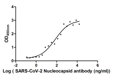 Binding activity of anti-nucleoprotein (N) antibodies in ELISA